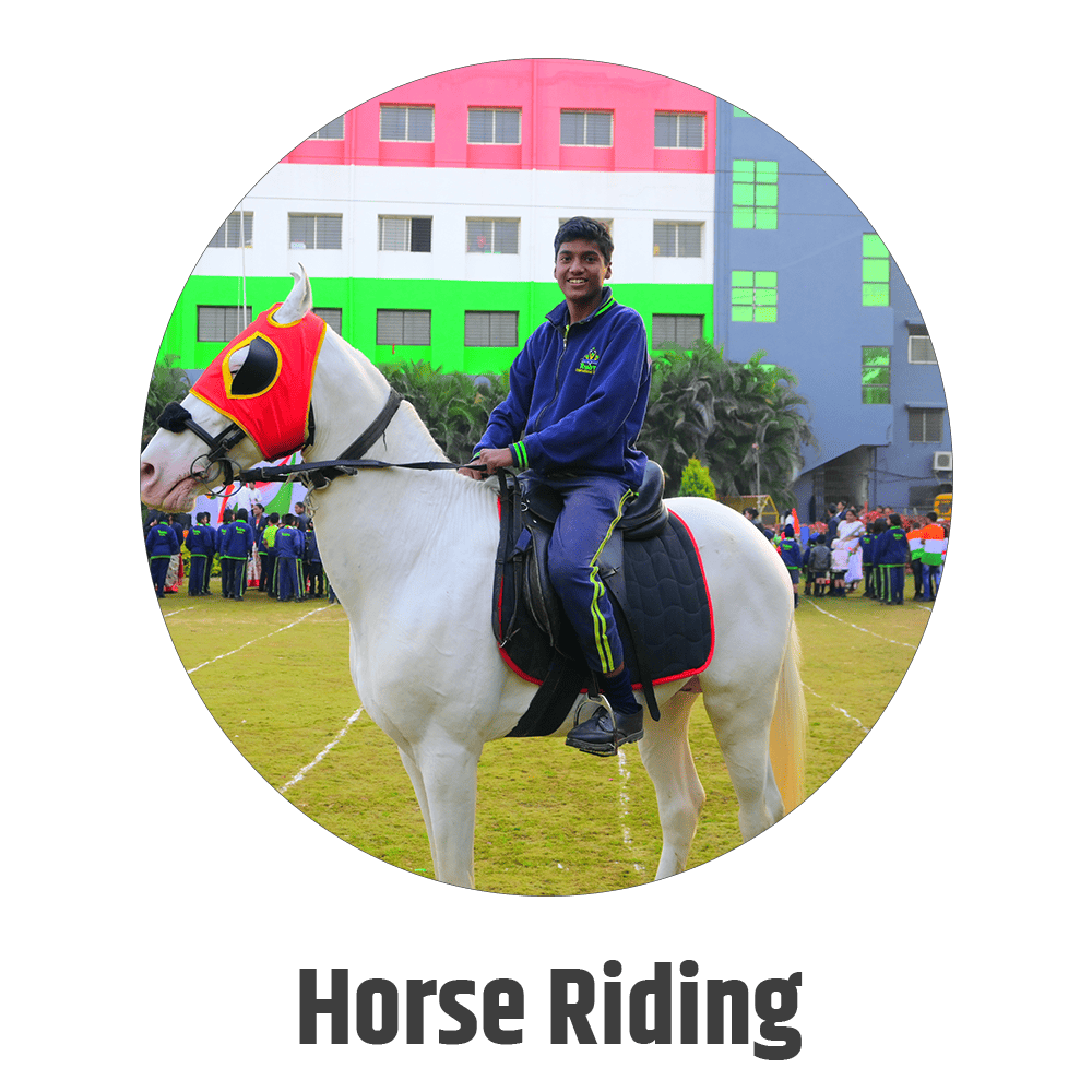 Horse Riding